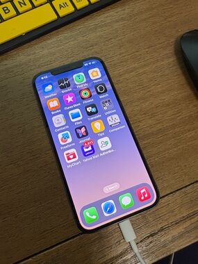 Apple iPhone in Black with Gradient Home Screen